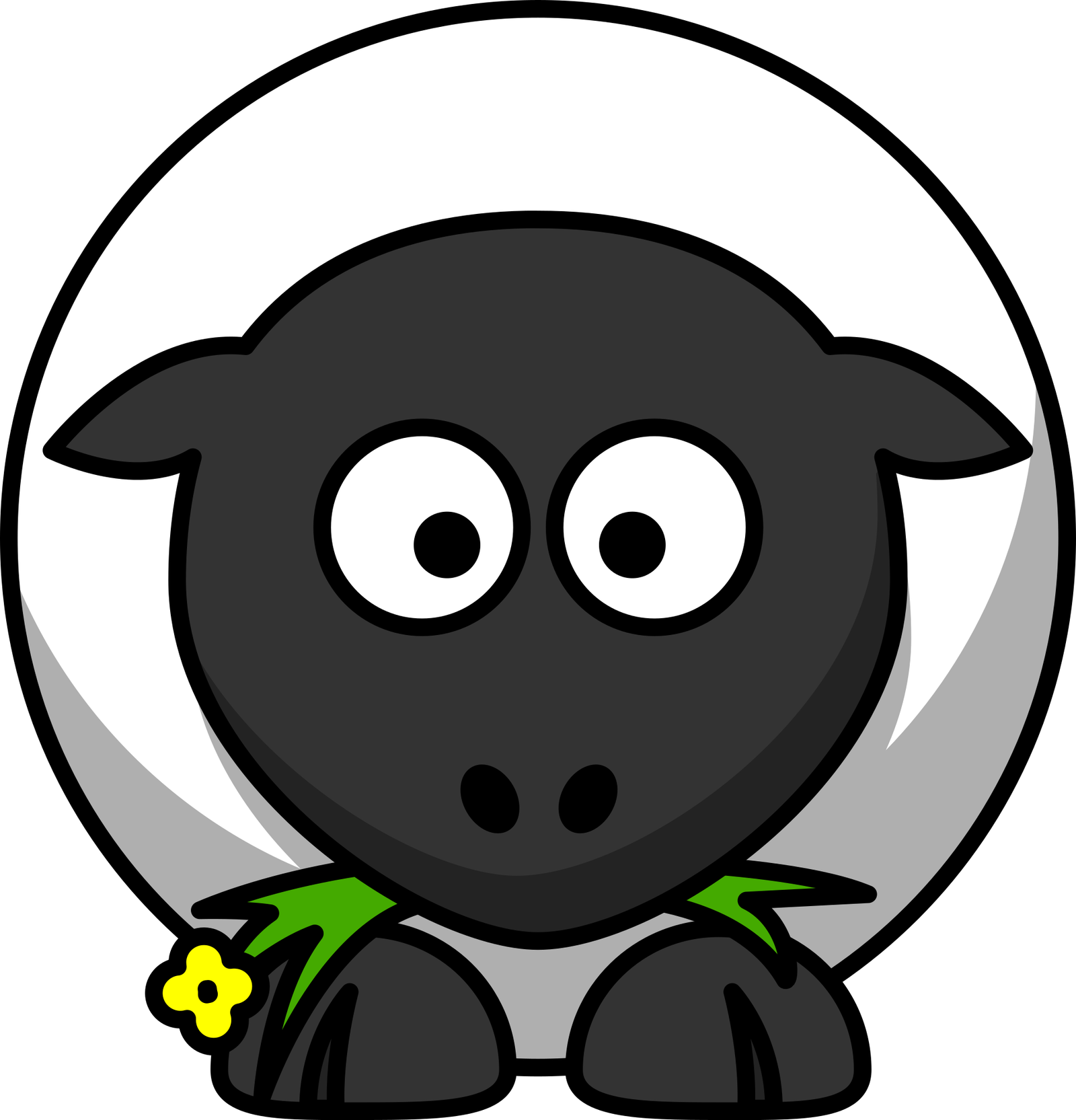 Sheep